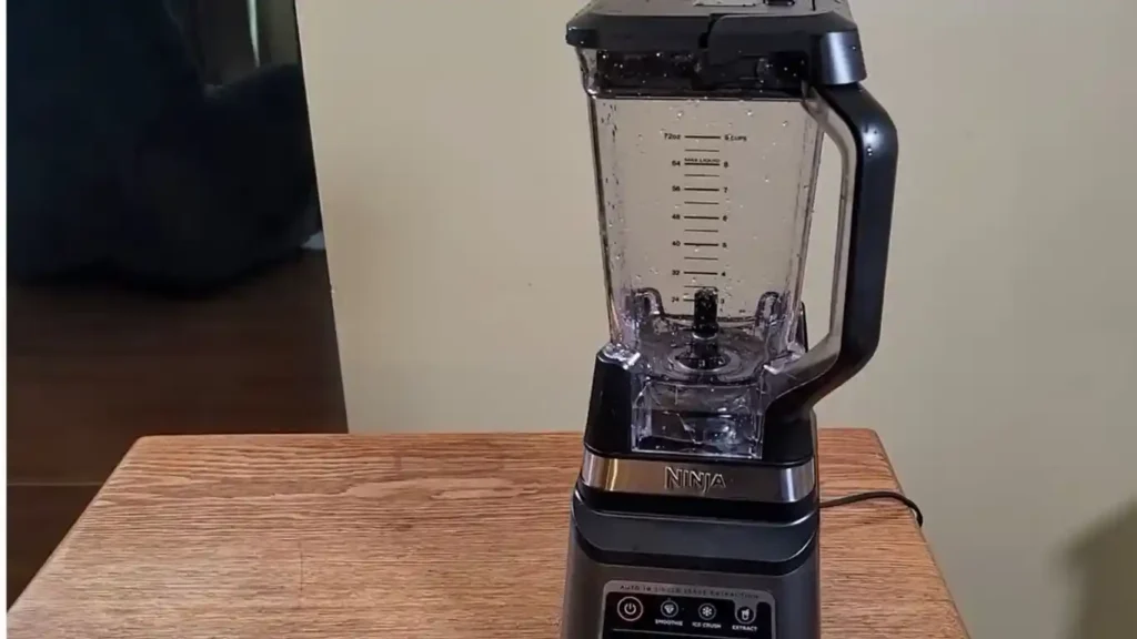 blender or smoothie maker