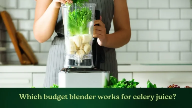 Best Blender for Celery Juice