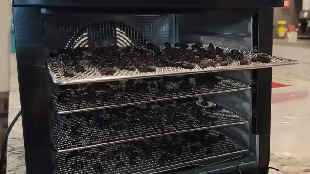 How to Dehydrate Blueberries in an Air Fryer