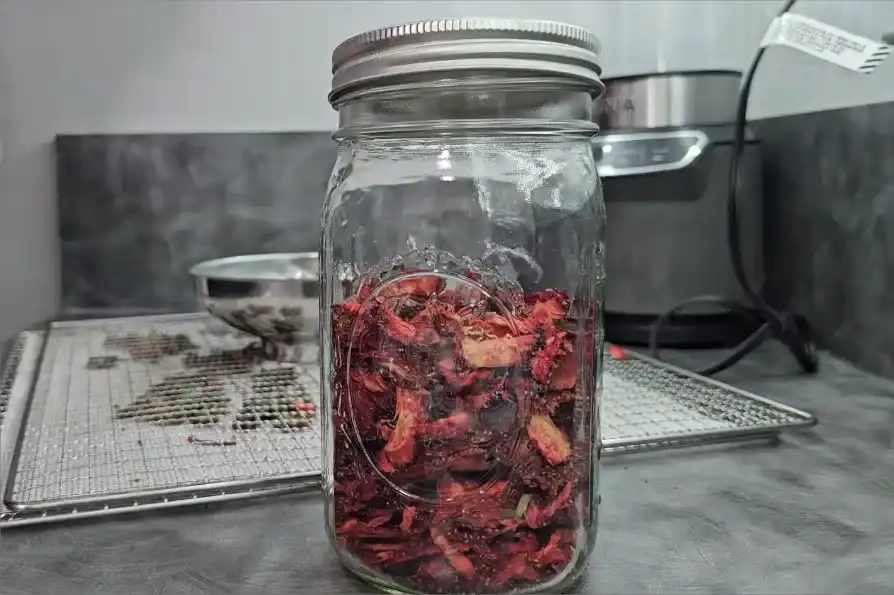 how to store dehydrated strawberries